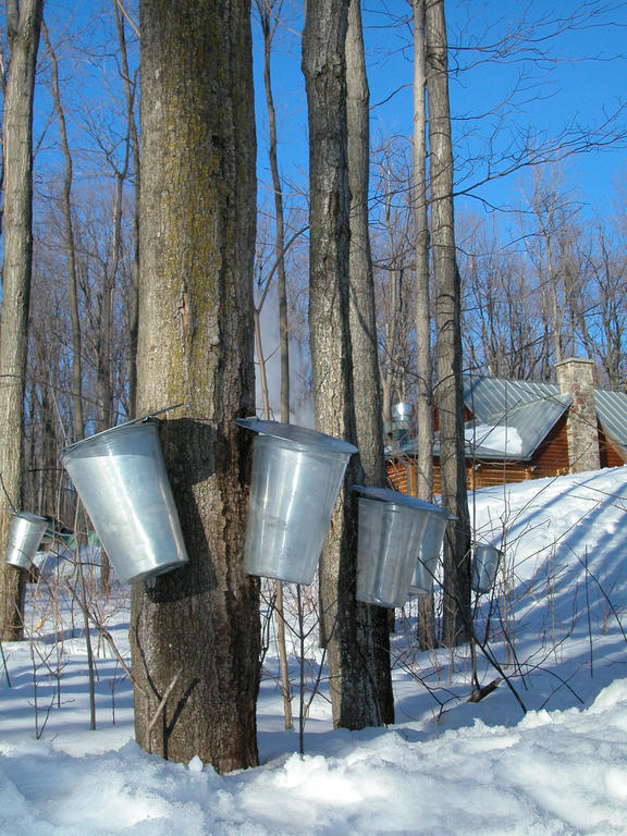 Auberge Des Gallant Rigaud Exteriér fotografie