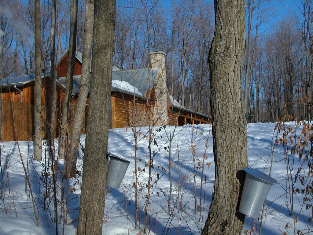 Auberge Des Gallant Rigaud Exteriér fotografie
